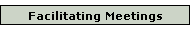 Facilitating Meetings